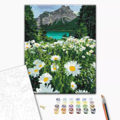   Margerite in den Bergen - Malen-nach-Zahlen-Set auf Keilrahmen 40x50