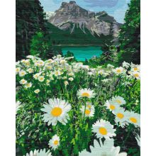 Margerite in den Bergen - Malen-nach-Zahlen-Set auf Keilrahmen 40x50
