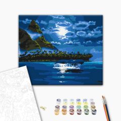 Holdfényes éjszaka - Számfestő készlet kereten 40x50