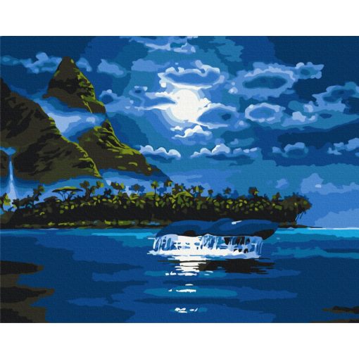 Holdfényes éjszaka - Számfestő készlet kereten 40x50