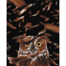 Kluger Uhu - Malen-nach-Zahlen-Set auf Keilrahmen 40x50