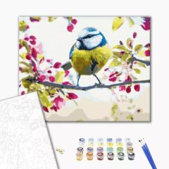   Meise im Frühling - Malen-nach-Zahlen-Set auf Keilrahmen 40x50