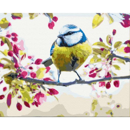 Meise im Frühling - Malen-nach-Zahlen-Set auf Keilrahmen 40x50