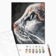Katzenprofil - Malen-nach-Zahlen-Set auf Keilrahmen 40x50
