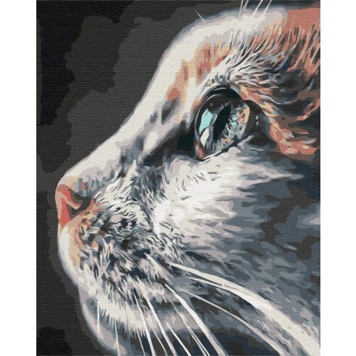 Katzenprofil - Malen-nach-Zahlen-Set auf Keilrahmen 40x50