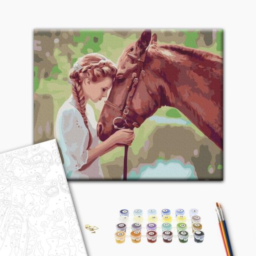 Freundliches Pferdchen - Malen-nach-Zahlen-Set auf Keilrahmen 40x50
