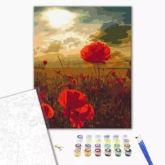   Mohnblumen auf dem Feld - Malen-nach-Zahlen-Set auf Keilrahmen 40x50