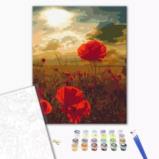 Mohnblumen auf dem Feld - Malen-nach-Zahlen-Set auf Keilrahmen 40x50