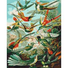 Kolibri-Königreich - Malen-nach-Zahlen-Set auf Keilrahmen 40x50