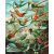   Kolibri-Königreich - Malen-nach-Zahlen-Set auf Keilrahmen 40x50