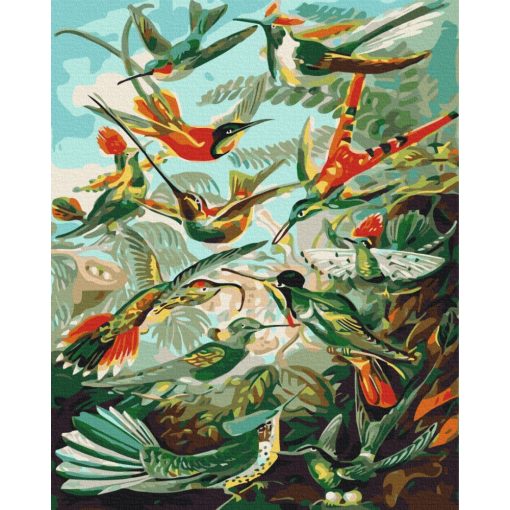 Kolibri-Königreich - Malen-nach-Zahlen-Set auf Keilrahmen 40x50