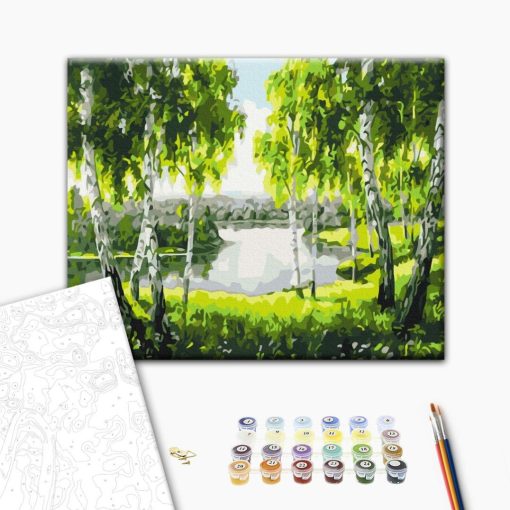 Birkenwald - Malen-nach-Zahlen-Set auf Keilrahmen 40x50