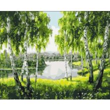 Birkenwald - Malen-nach-Zahlen-Set auf Keilrahmen 40x50