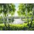 Birkenwald - Malen-nach-Zahlen-Set auf Keilrahmen 40x50