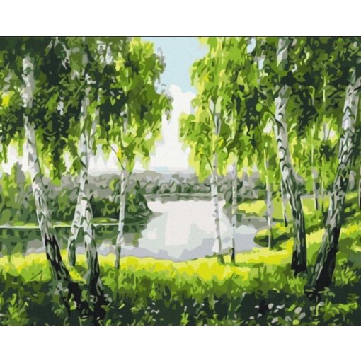 Birkenwald - Malen-nach-Zahlen-Set auf Keilrahmen 40x50