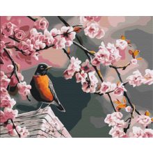 Vögelchen am Kirschbaum - Malen-nach-Zahlen-Set auf Keilrahmen 40x50