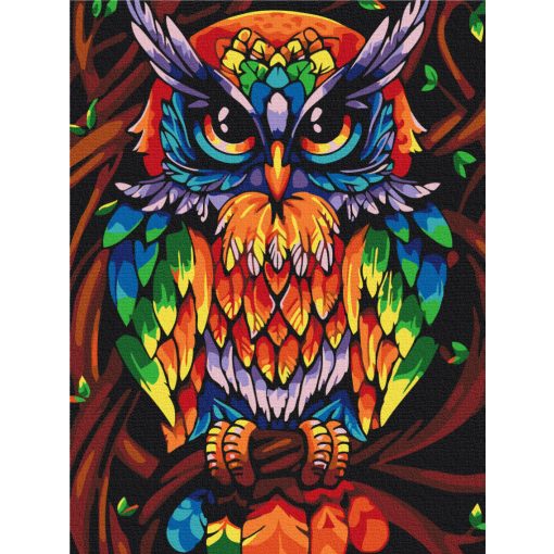 Bölcs szivárványos bagoly - Számfestő készlet kereten 40x50