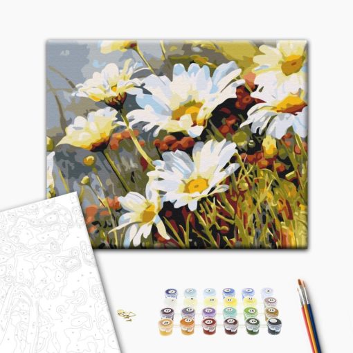 Frühlingswiese - Malen-nach-Zahlen-Set auf Keilrahmen 40x50