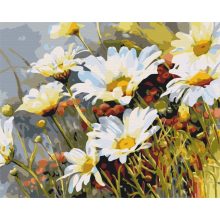 Frühlingswiese - Malen-nach-Zahlen-Set auf Keilrahmen 40x50