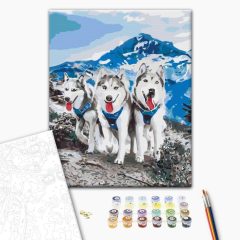   Husky-Freundschaft - Malen-nach-Zahlen-Set auf Keilrahmen 40x50