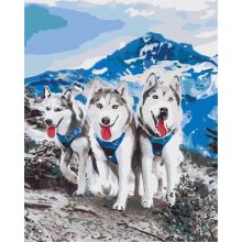Husky-Freundschaft - Malen-nach-Zahlen-Set auf Keilrahmen 40x50
