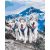   Husky-Freundschaft - Malen-nach-Zahlen-Set auf Keilrahmen 40x50