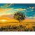   Goldener Sonnenuntergang - Malen-nach-Zahlen-Set auf Keilrahmen 40x50