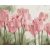 Duftende Tulpen - Malen-nach-Zahlen-Set auf Keilrahmen 40x50