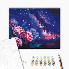   Erblühte Galaxie - Malen-nach-Zahlen-Set auf Keilrahmen 40x50