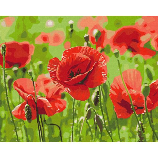 Vörös szimfónia - Számfestő készlet kereten 40x50