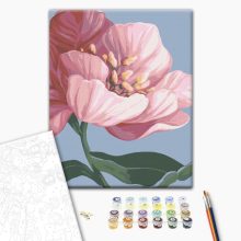 Blüte - Malen-nach-Zahlen-Set auf Keilrahmen 40x50