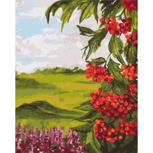 Sommerliche Natur - Malen-nach-Zahlen-Set auf Keilrahmen 40x50