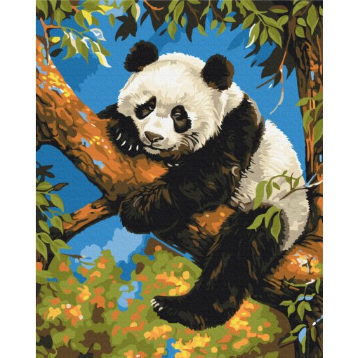 Ruhiger Panda - Malen-nach-Zahlen-Set auf Keilrahmen 40x50