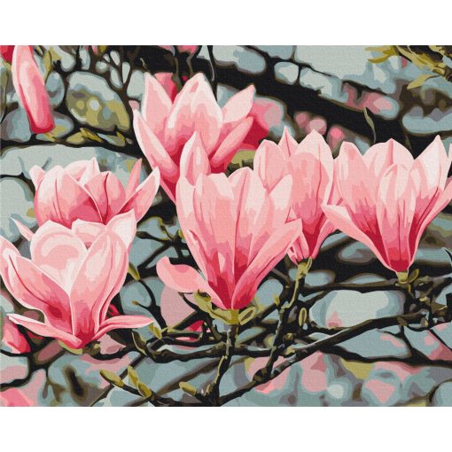 Tanz der Magnolien - Malen-nach-Zahlen-Set auf Keilrahmen 40x50