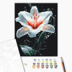 Liliom - Számfestő készlet kereten 40x50