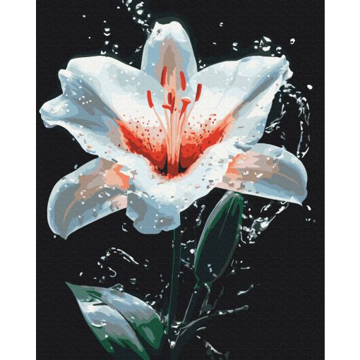 Liliom - Számfestő készlet kereten 40x50