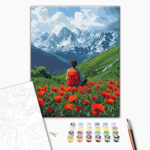 Pipacsmező közepén - Számfestő készlet kereten 40X50