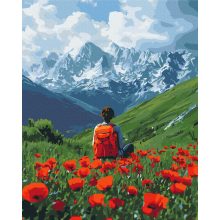 Pipacsmező közepén - Számfestő készlet kereten 40X50