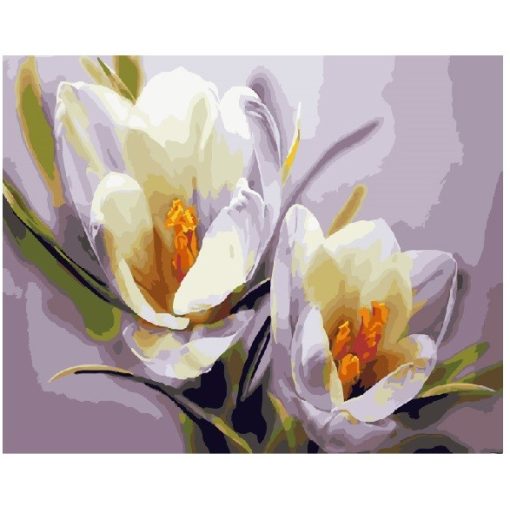 Krokusse - Malen-nach-Zahlen-Set auf Keilrahmen 40x50