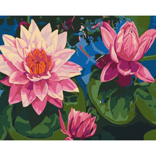 Rosa Seerose - Malen-nach-Zahlen-Set auf Keilrahmen 40x50